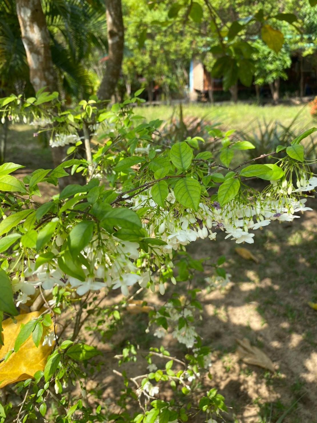Lonely Groove Hotel Koh Chang Ngoại thất bức ảnh